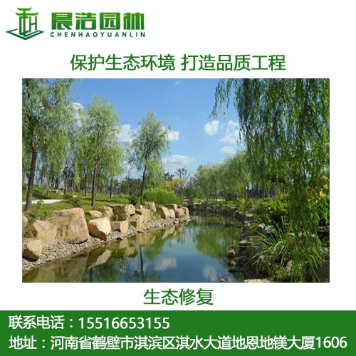 山东