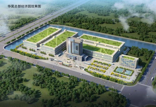265亿 今天,龙港一大批项目开工 有学校 有医院 有公园
