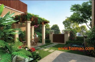 建筑工程价格如何 具有口碑的园林植物种植哪里有,建筑工程价格如何 具有口碑的园林植物种植哪里有生产厂家,建筑工程价格如何 具有口碑的园林植物种植哪里有价格