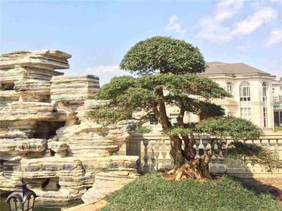武汉园林景观 园林景观制作 绿林