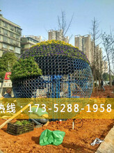 湖南草字头生态建设