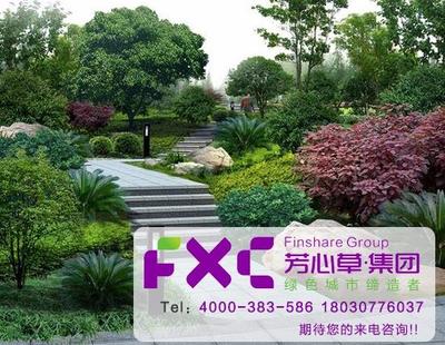 成都天府新区好的园林管护工程